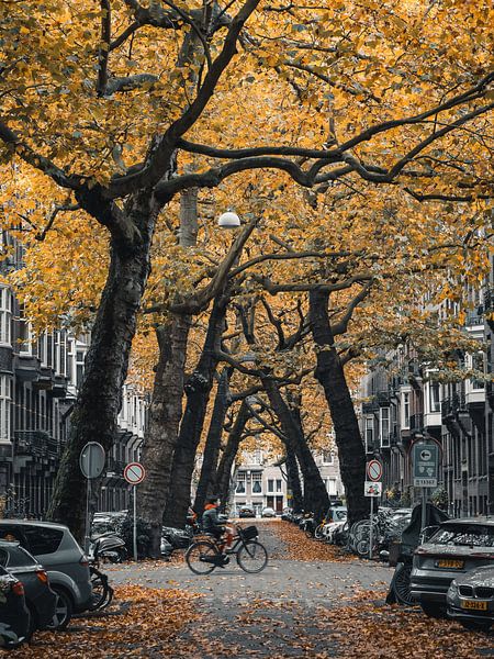 Lomanstraat im Herbst - Launisch #3 von Roger Janssen