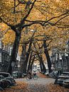 Lomanstraat im Herbst - Launisch #3 von Roger Janssen Miniaturansicht