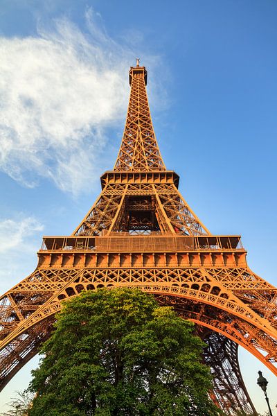 Eiffel Tower Paris afternoon sun in spring by Dennis van de Water