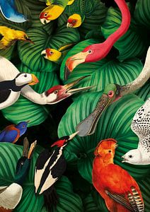 Le paradis des oiseaux du musée Teylers sur Teylers Museum