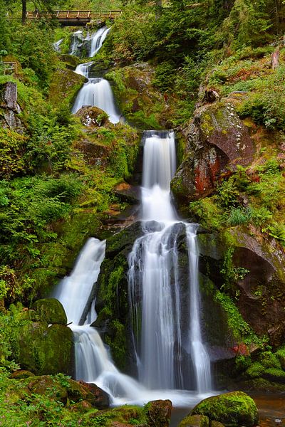 Triberg Waterval van Thomas Herzog