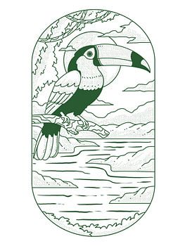 Toekan vogels minimalistische kunst