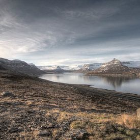 Paysage des fjords de l'Ouest sur Riana Kooij