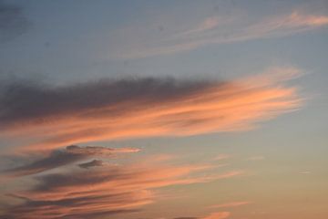 Roze/oranje zonsondergang