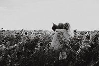 L'amour entre sœurs - Photographie