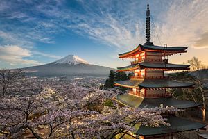 De berg Fuji met kersenbloesems in Japan van Michael Abid