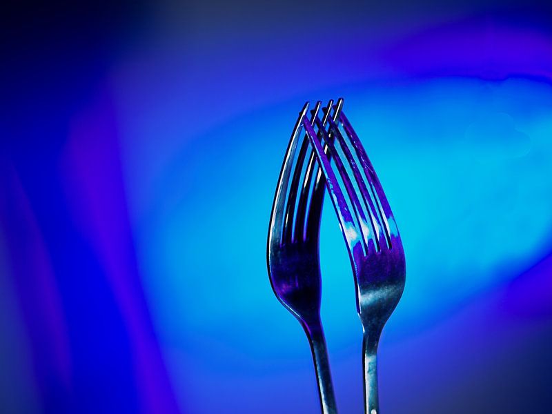 Twee vorken zo blauw van Jan Enthoven Fotografie