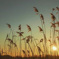 Sonnenuntergang.