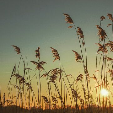 Zonsondergang. van Hans ter Elst