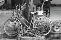 Fahrrad mit Pflanzen von Inge Hogenbijl Miniaturansicht