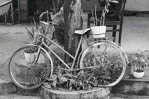 Fahrrad mit Pflanzen