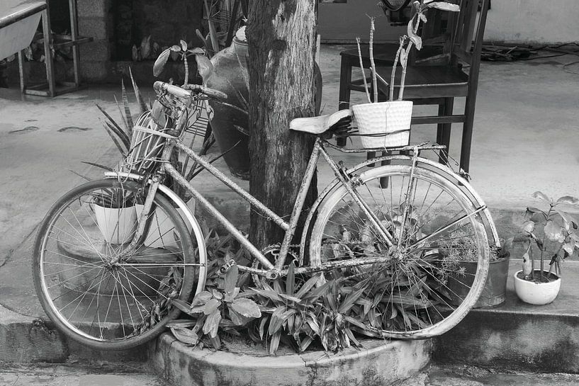 Fahrrad mit Pflanzen von Inge Hogenbijl