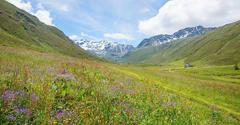 Lente in de Dischma vallei bij Davos Zwitserse Alpen van SusaZoom