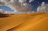 Wahibi Sands Wüste in Oman von Yvonne Smits Miniaturansicht