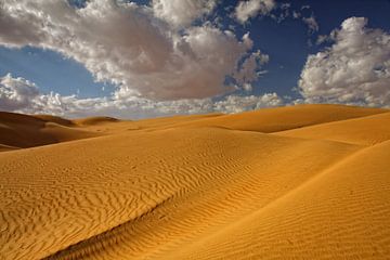 Wahibi Sands Wüste in Oman von Yvonne Smits