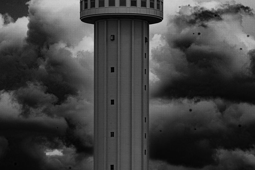 gris magnifique par René Bosman