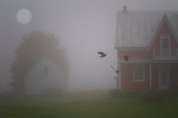 Black Angel von Renald Bourque