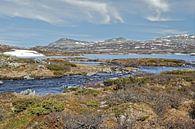 Norwegen, Frühling van Michael Schreier thumbnail