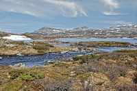 Norwegen, Frühling