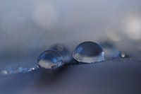 Something blue