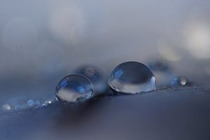 Quelque chose de bleu sur Carla Mesken-Dijkhoff