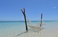 Hängematte im Meer von Robert Styppa Miniaturansicht