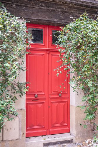 La porte d'entrée rouge avec la clématite grimpante.