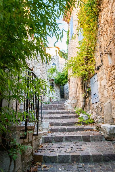 Treppe im Dorf Bauduen, Frankreich von Ellis Peeters
