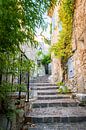 Treppe im Dorf Bauduen, Frankreich von Ellis Peeters Miniaturansicht