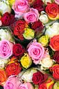 Roses and romance for sale by Margot van den Berg thumbnail