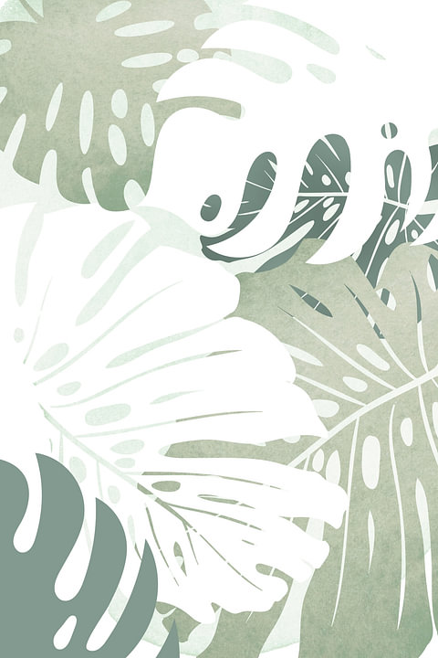 Monstera van <span class="secondary-font">Steffen Gierok</span>