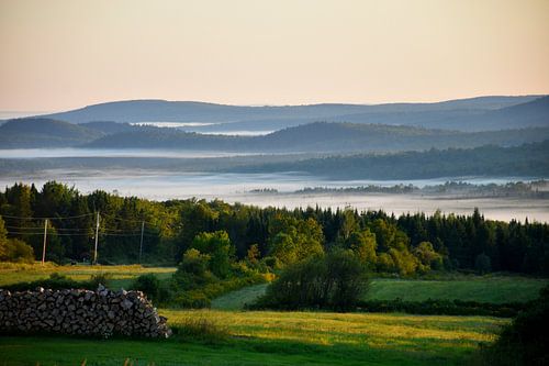 Een mist op een herfstochtend