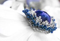 Blaues Herz