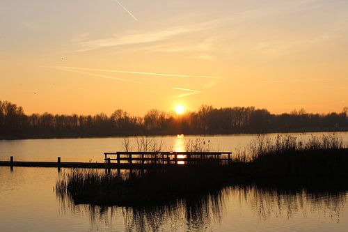 Prachtige zonsondergang achter het riet