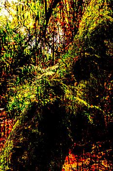 Varens op bemoste boomstam