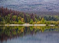 The mirror