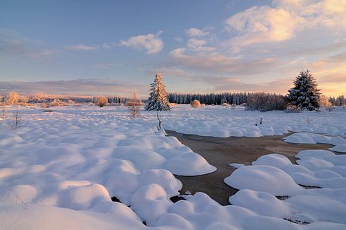 Winter in the Hautes Fagnes