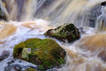 wild water 1 van Geertjan Plooijer