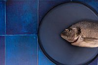 Fish head Dorade
