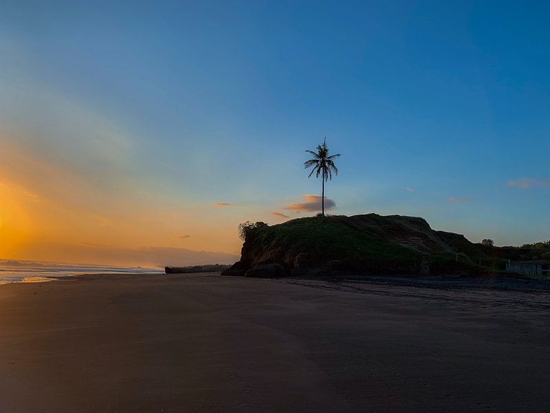 Bali von Hello Pompoyo