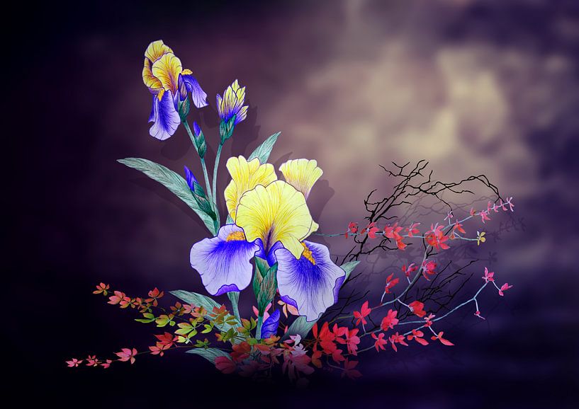 Iris flower   by Dusanka Djeric