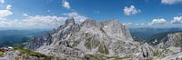 Bergpanorama "Gosaukamm" van Coen Weesjes thumbnail