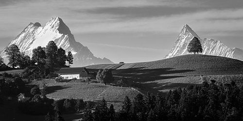 Emmental in Zwart-Wit, Zwitserland