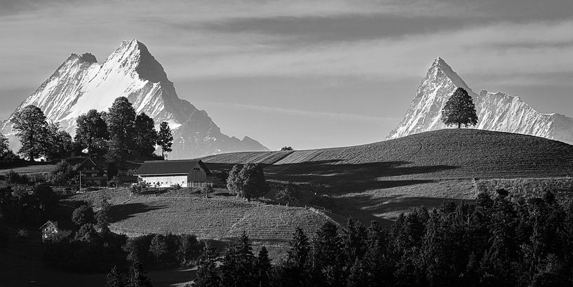 Emmental in Zwart-Wit, Zwitserland van Henk Meijer Photography