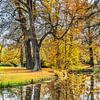 Herbst im Park von Gunter Kirsch