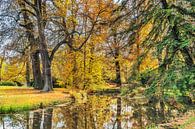Herbst im Park von Gunter Kirsch Miniaturansicht