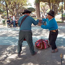 Stoeiende mannen in Sucre, Bolivia von Stefanie Lamers