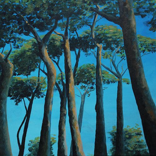 Under the pine trees in the sun