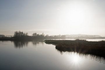 Zon in de kreek van natuurgebied de Braakman in Zeeland