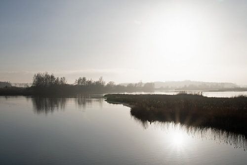 Zon in de kreek van natuurgebied de Braakman in Zeeland van Anne Hana